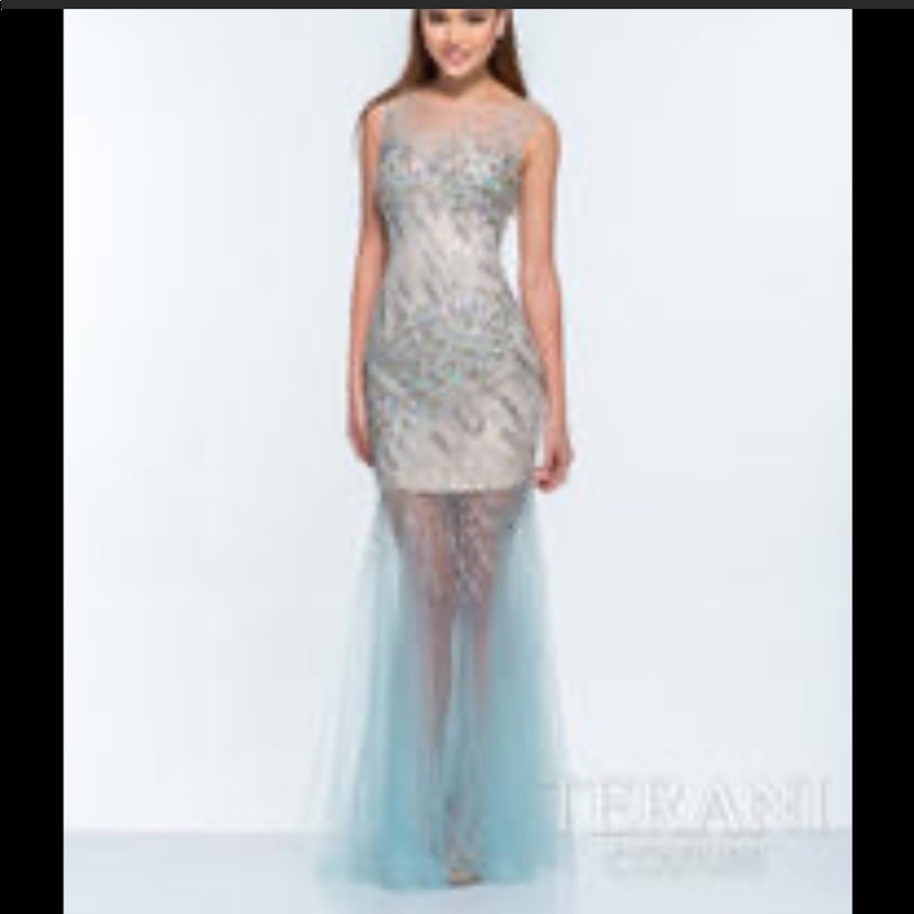 Terani couture gem gown
